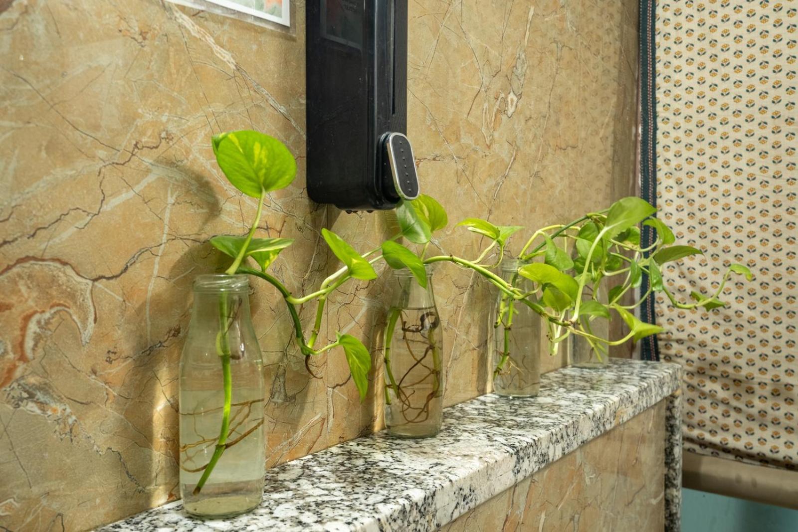 Anandmai - Sustainable Living Spaces ชัยปุระ ภายนอก รูปภาพ
